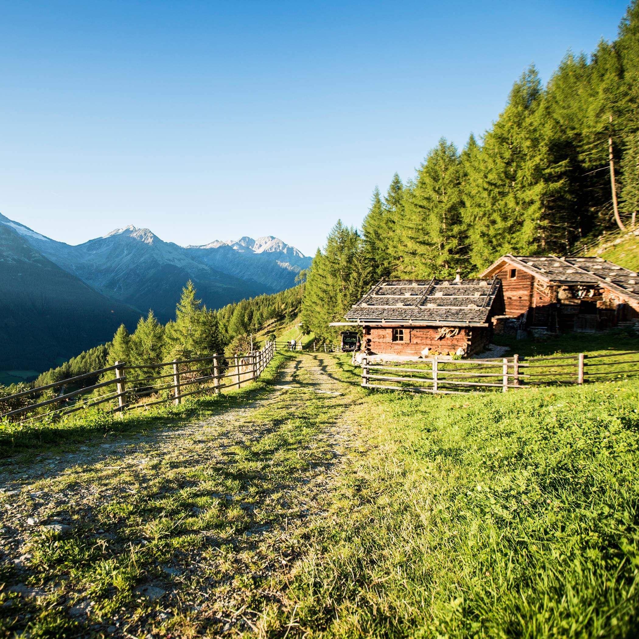 South Tyrol - Tauferer Ahrntal Valley