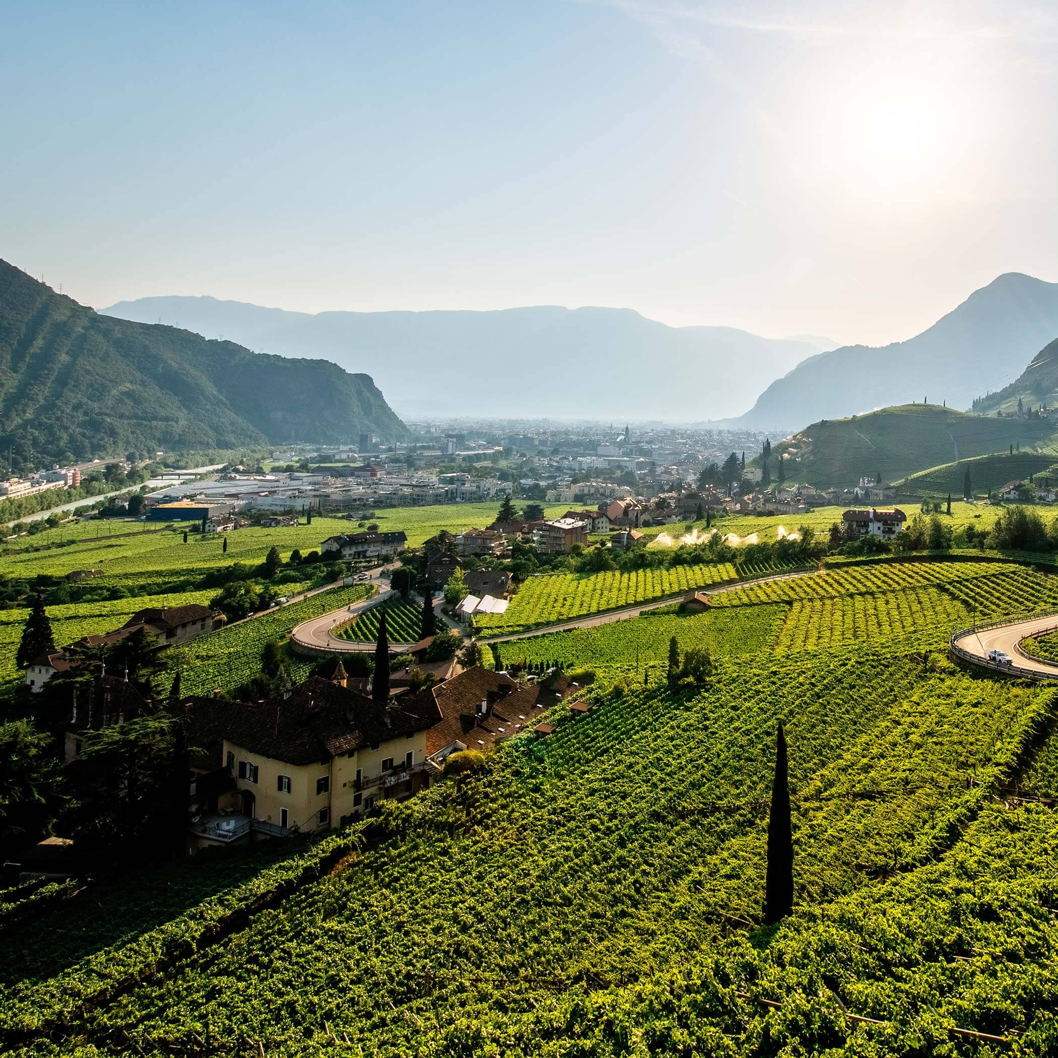 Nature in the south of South Tyrol