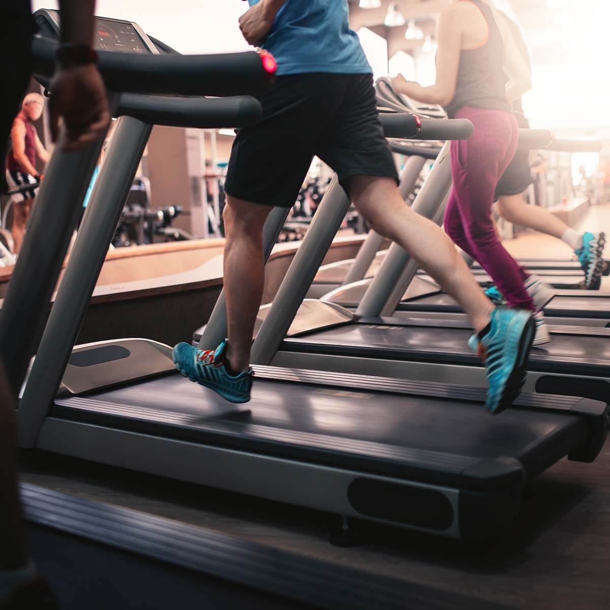 Fitness at the sports hotel