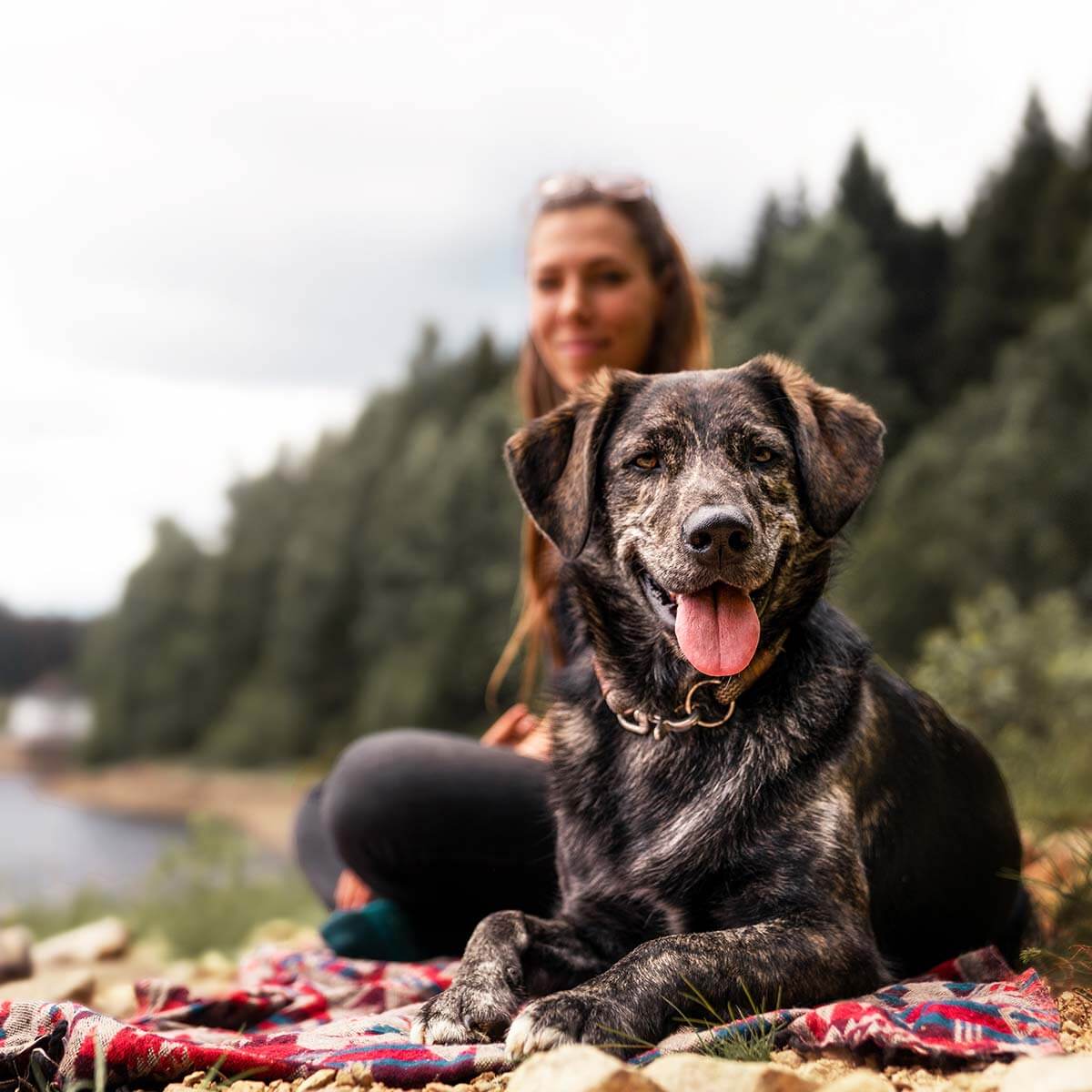 Pure nature on vacation with your dog